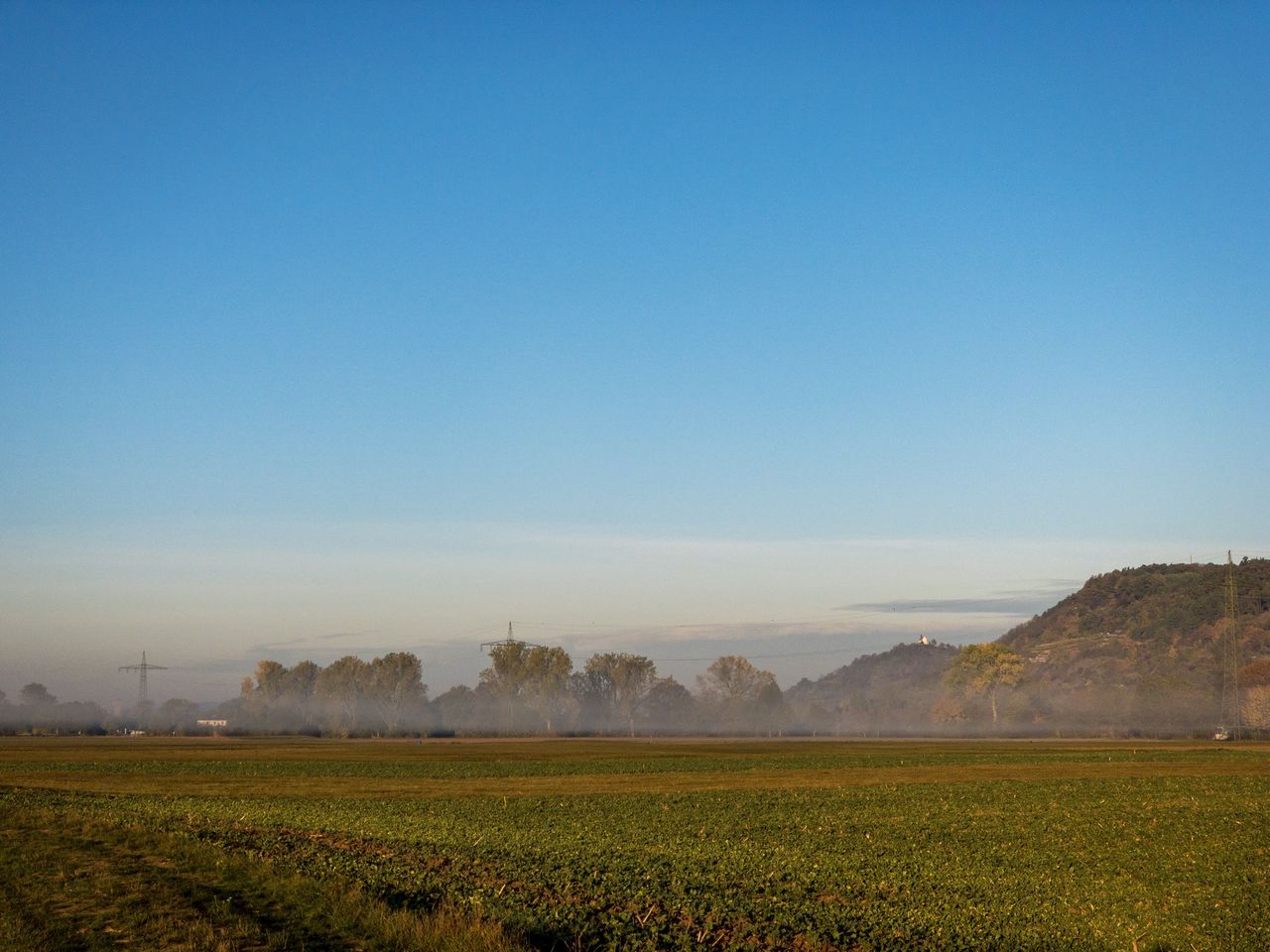 Scenic view of agricultural field against clear blue sky