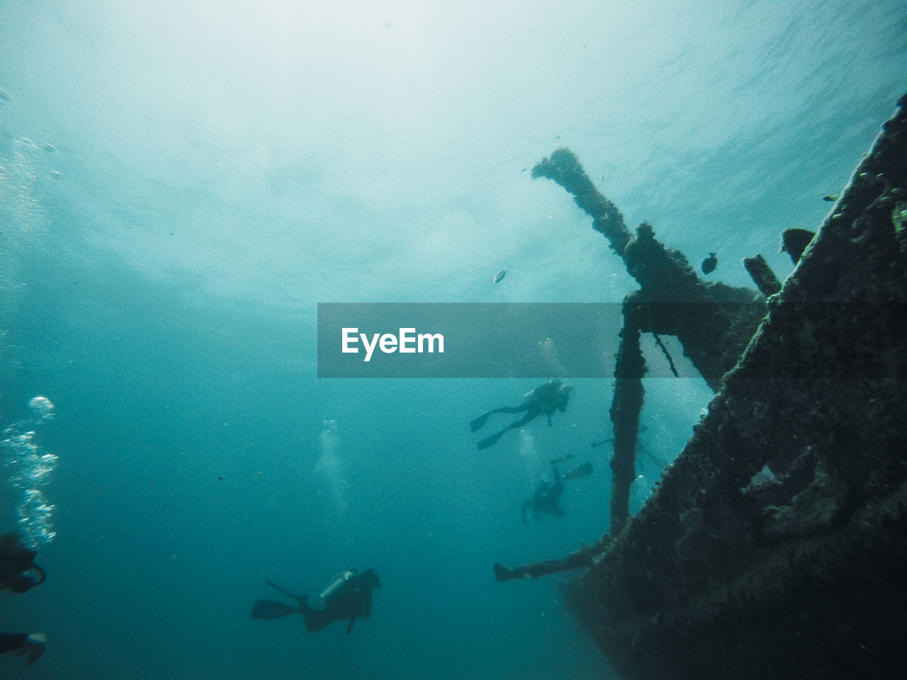 People diving in sea