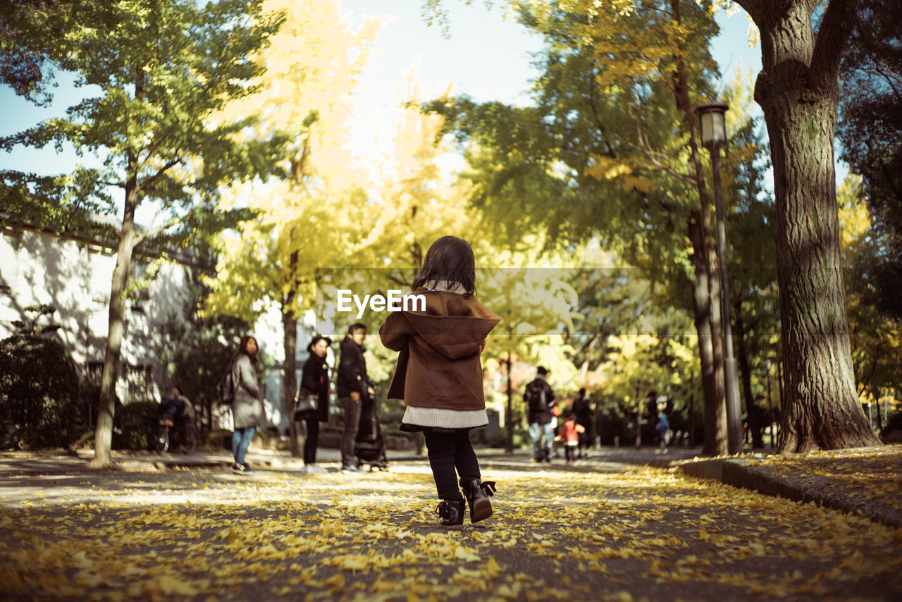 Rear view of girl walking in park