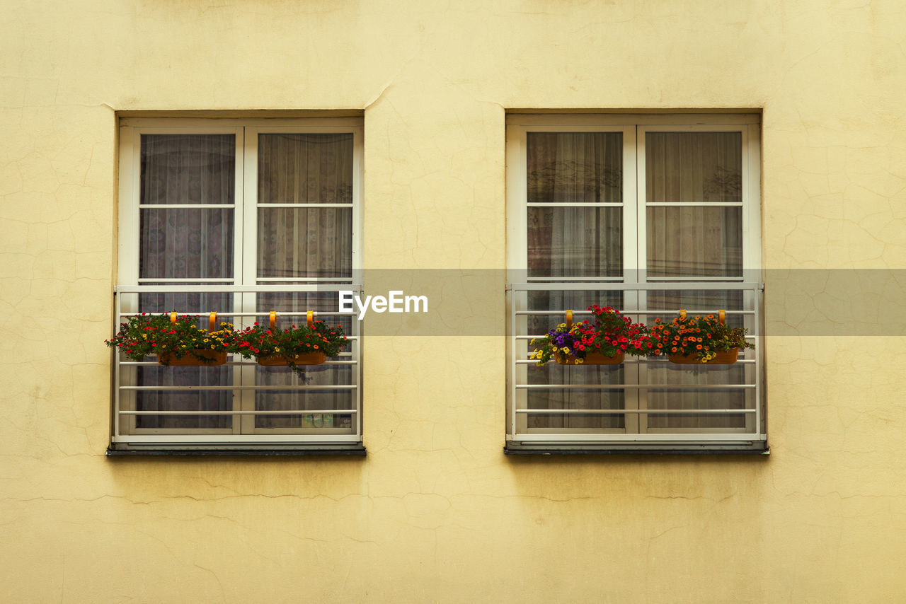 LOW ANGLE VIEW OF POTTED PLANTS ON BUILDING