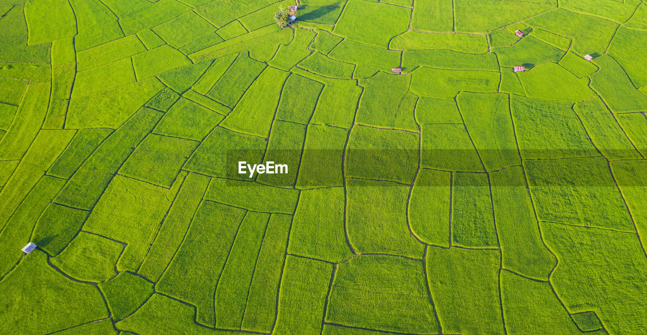 Aerial view of farm