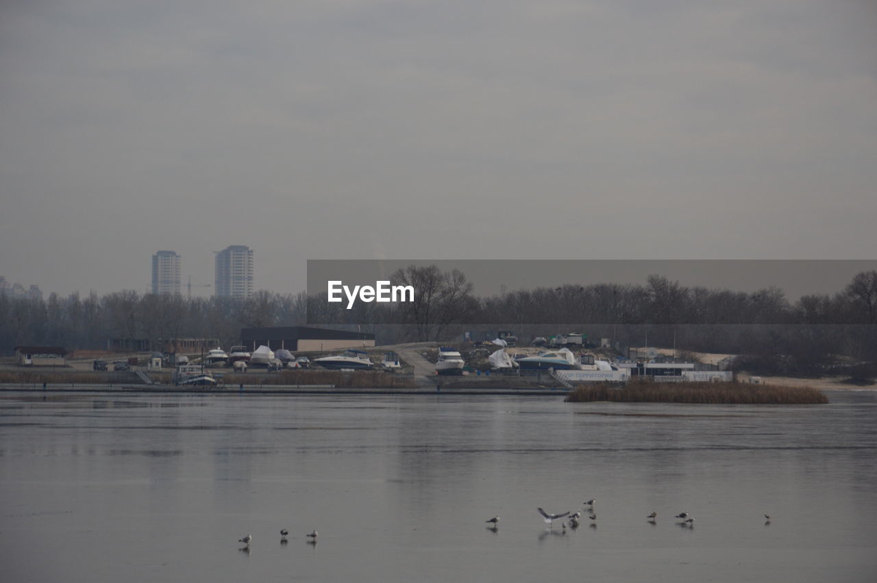 BIRDS IN LAKE AGAINST SKY