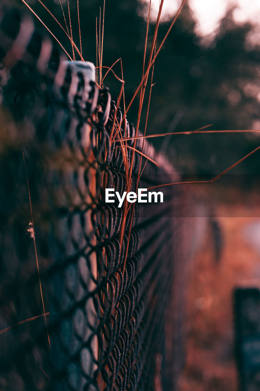 Close-up of barbed wire fence