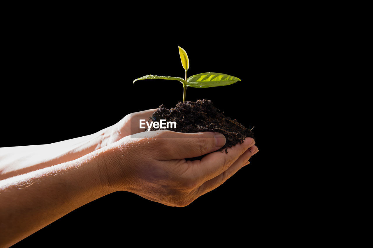 Cropped image of hands holding seedling against black background