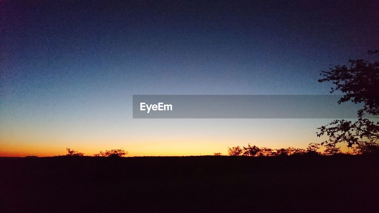 SILHOUETTE OF TREES ON LANDSCAPE AT SUNSET