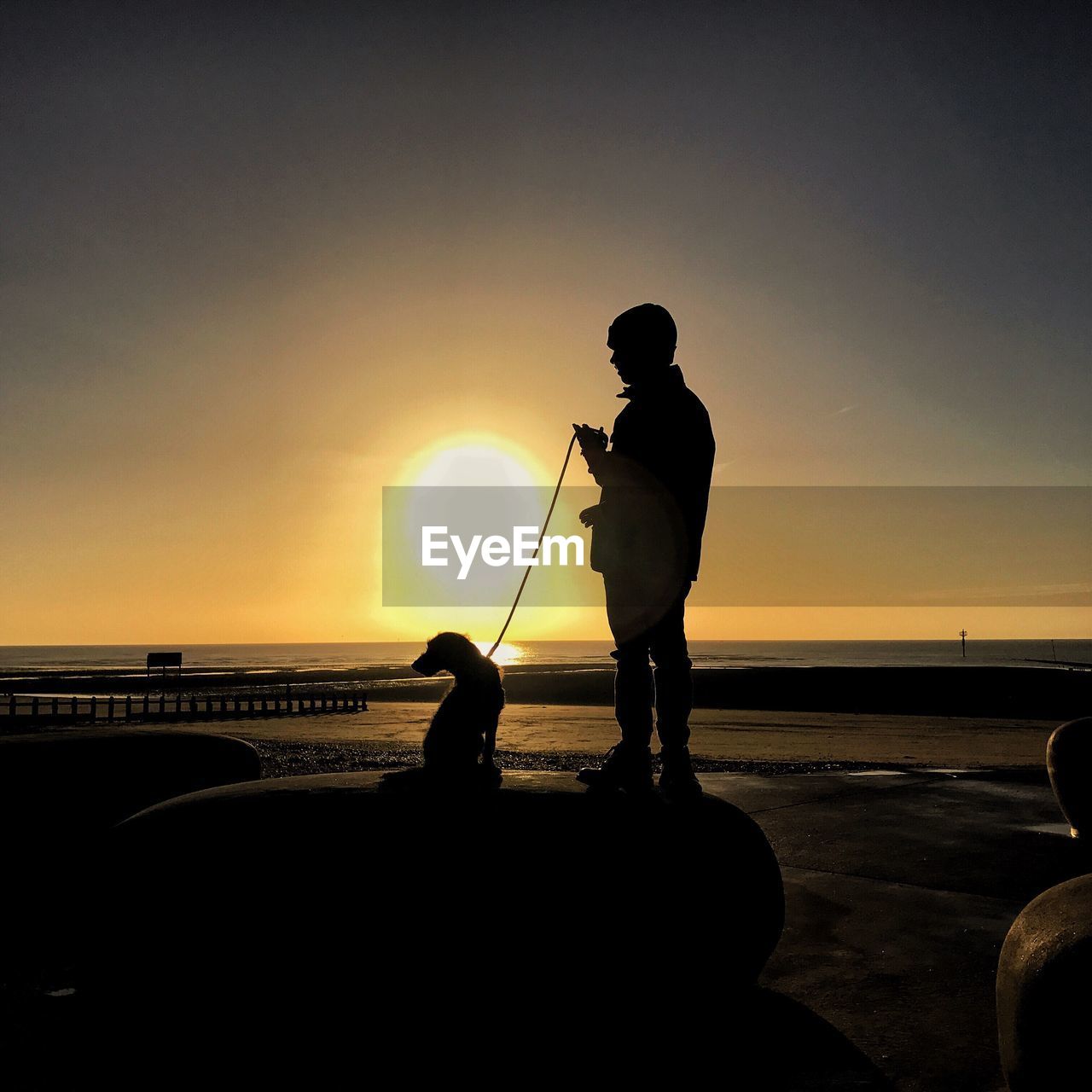 Silhouette boy standing with dog at beach against sky during sunset