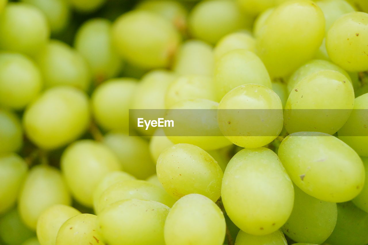 FULL FRAME SHOT OF GRAPES IN GREEN BEANS