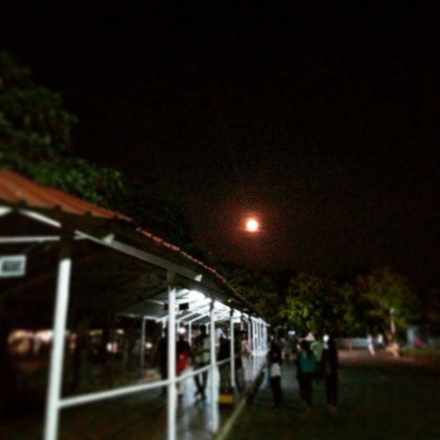 VIEW OF TRAIN AT NIGHT