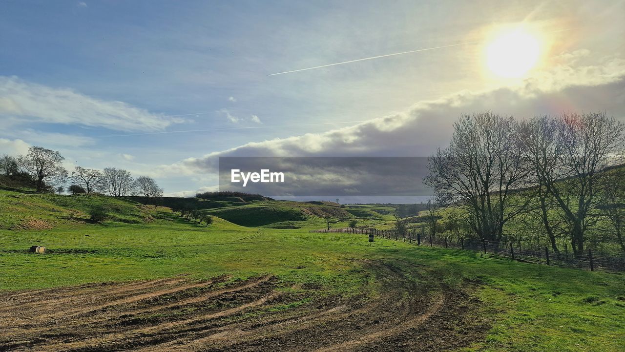 sky, landscape, environment, field, hill, plant, nature, scenics - nature, land, cloud, rural area, beauty in nature, tree, grass, tranquility, rural scene, tranquil scene, sunlight, no people, green, sun, grassland, agriculture, meadow, sunbeam, non-urban scene, lens flare, morning, horizon, road, plain, outdoors, travel, idyllic, day, farm, prairie, growth