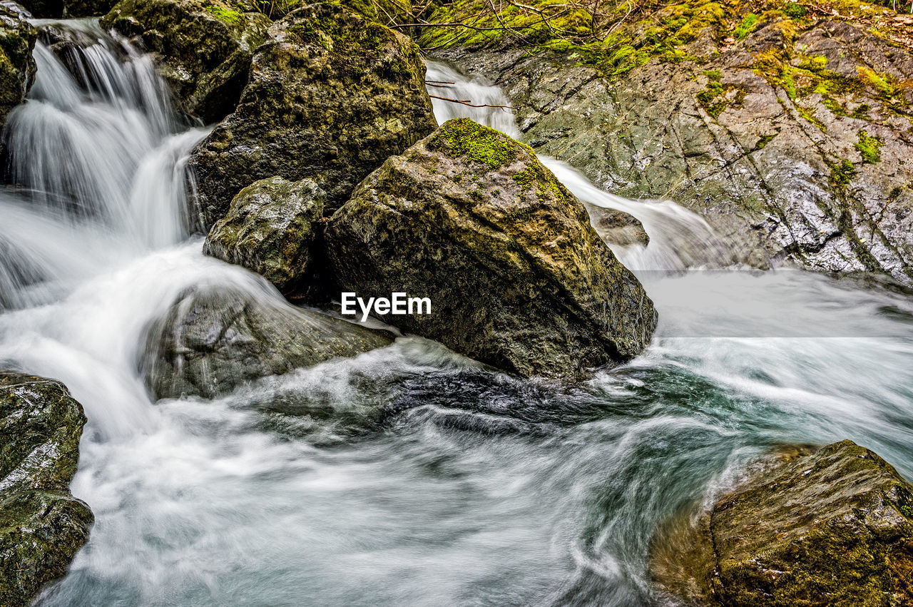 WATERFALL IN FOREST