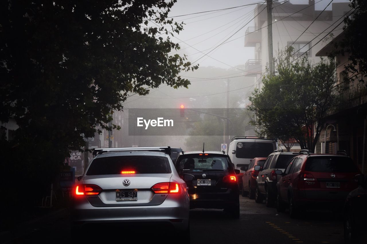 CARS ON ROAD AGAINST TREES