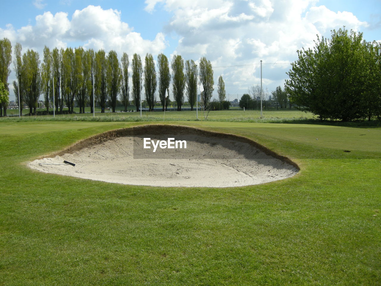 Scenic view of trees growing in golf course against sky