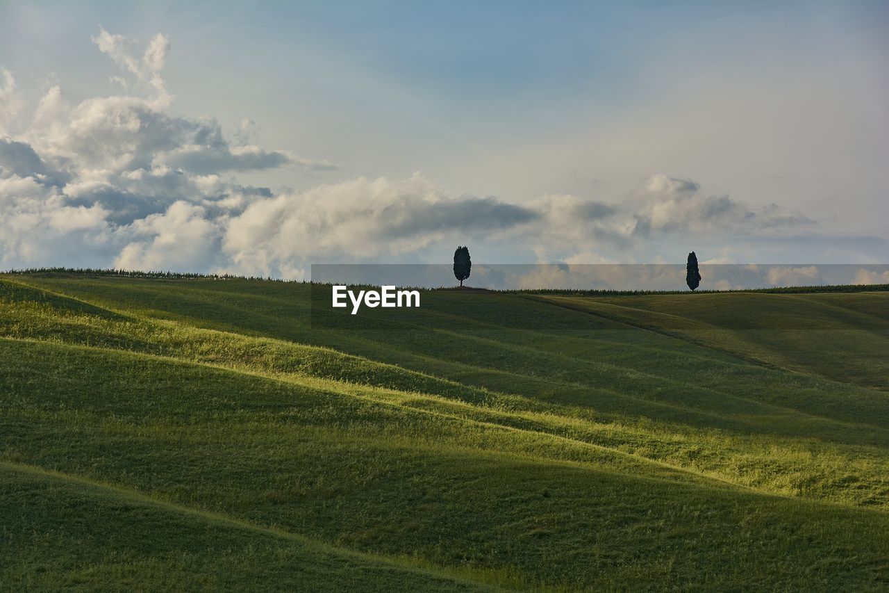 Scenic view of agricultural field against sky