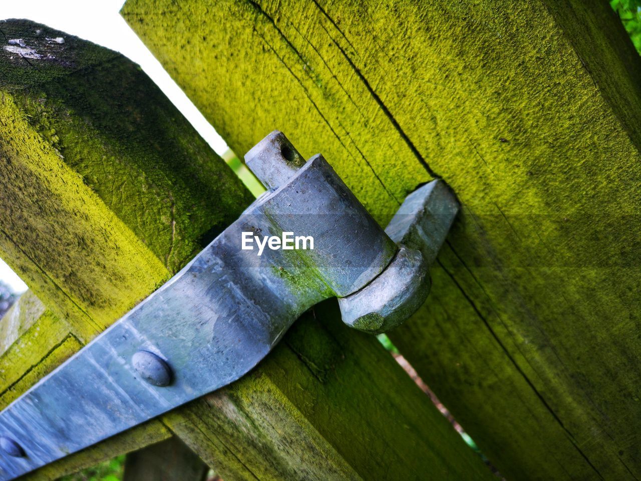 HIGH ANGLE VIEW OF GREEN LEAF ON GRASS