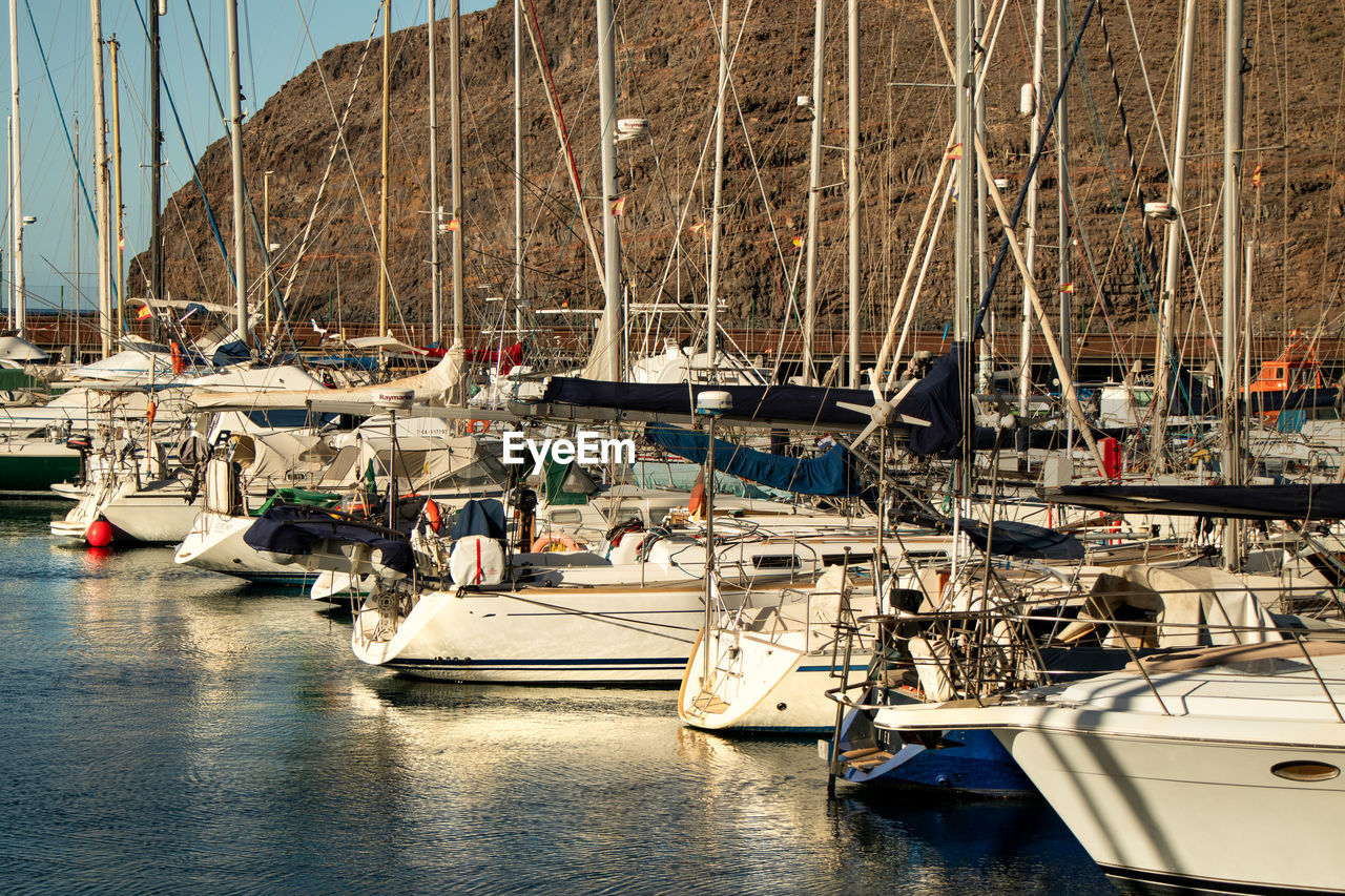 FISHING BOATS IN HARBOR