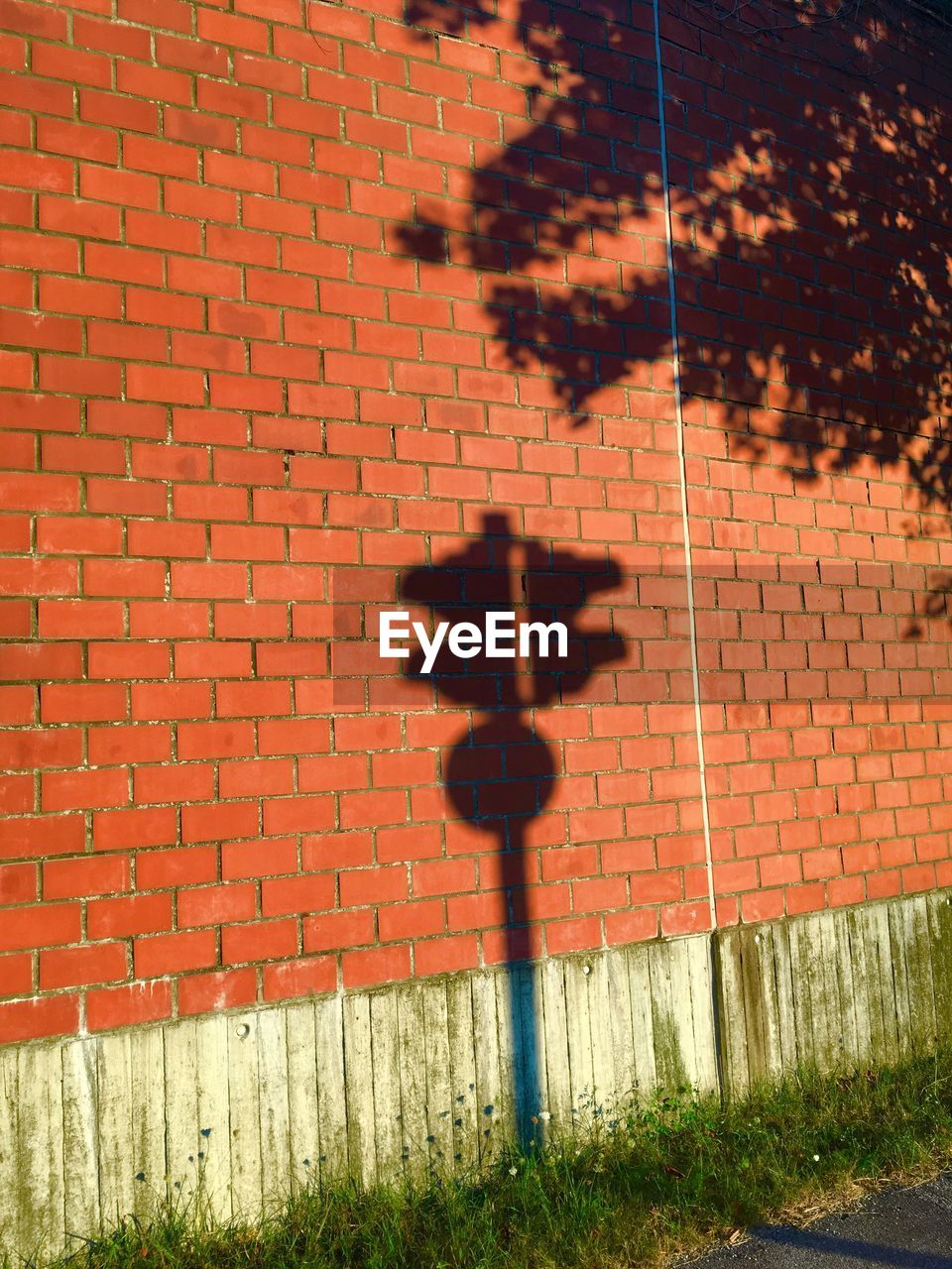 SHADOW OF TREE ON BRICK WALL AGAINST STONE WALLS