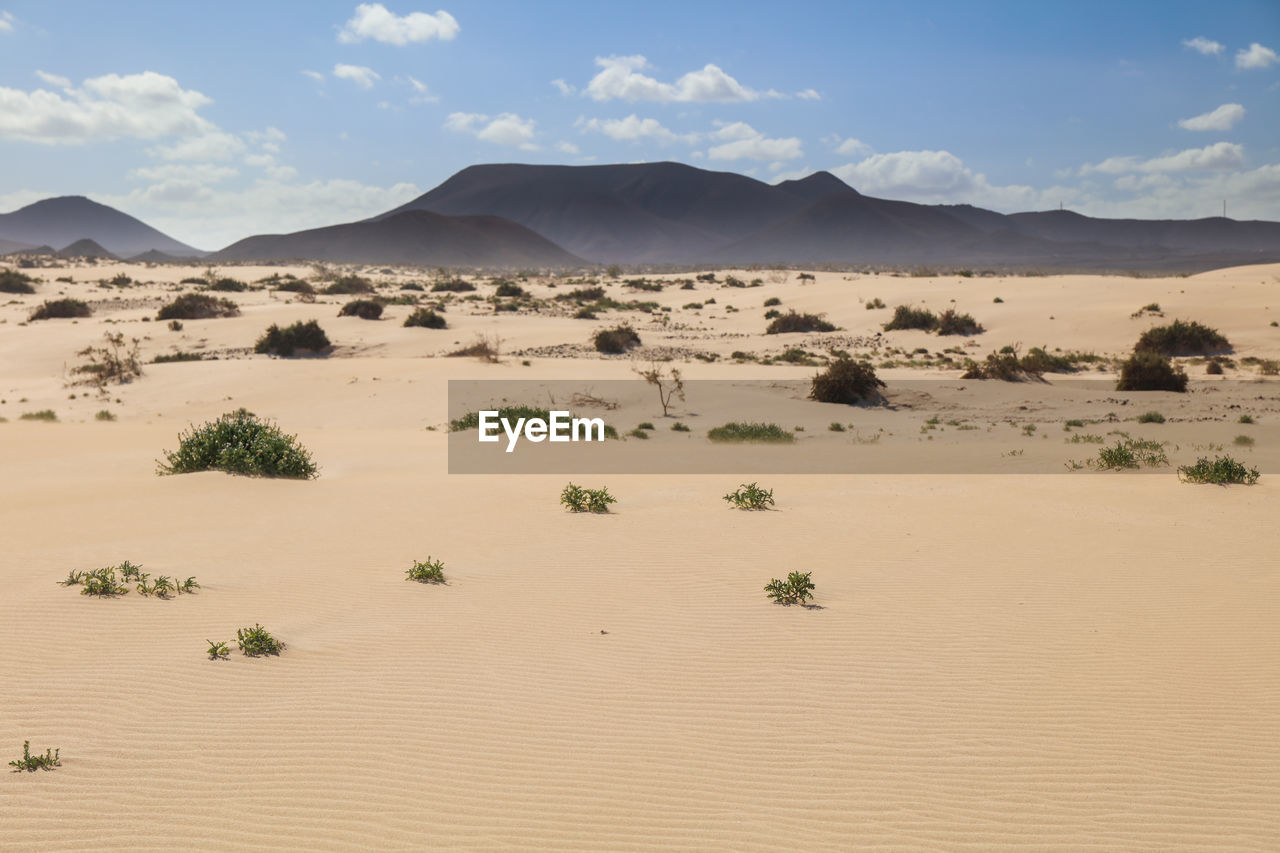 Scenic view of desert against sky