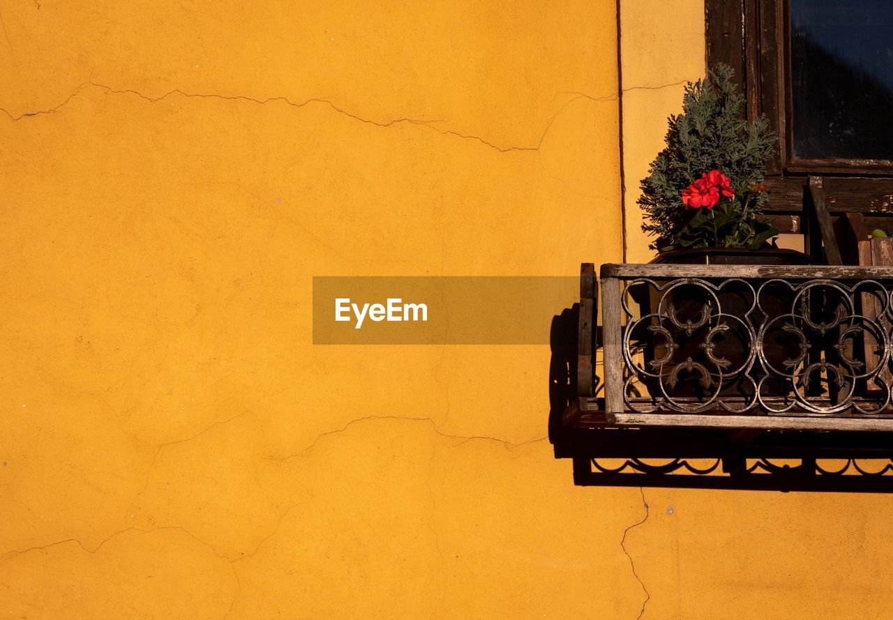 POTTED PLANT ON WALL