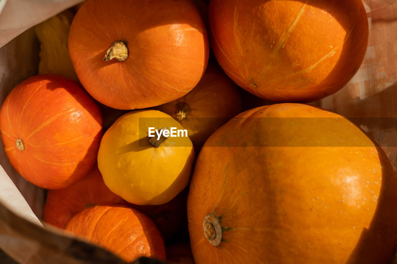 HIGH ANGLE VIEW OF ORANGE PUMPKINS IN CONTAINER