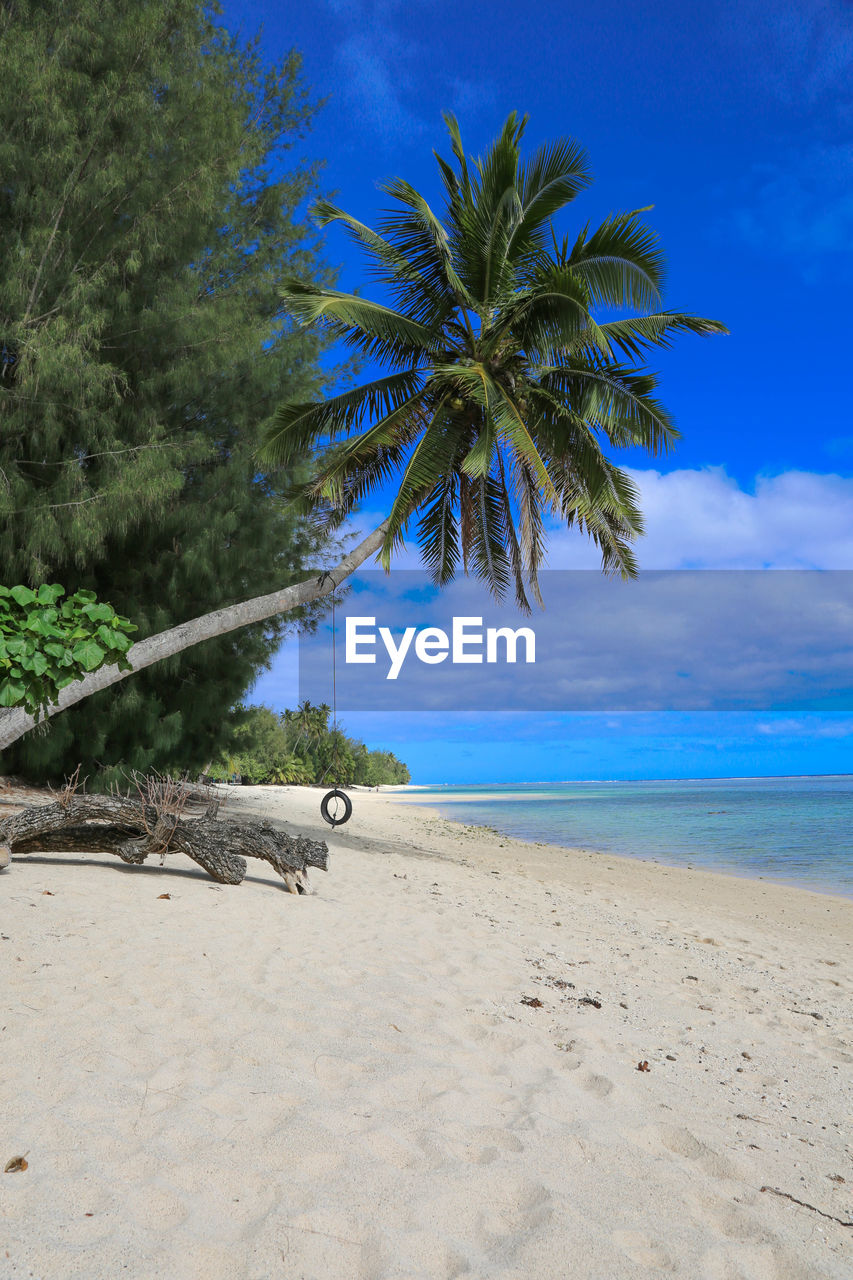 Palm trees on beach against blue sky