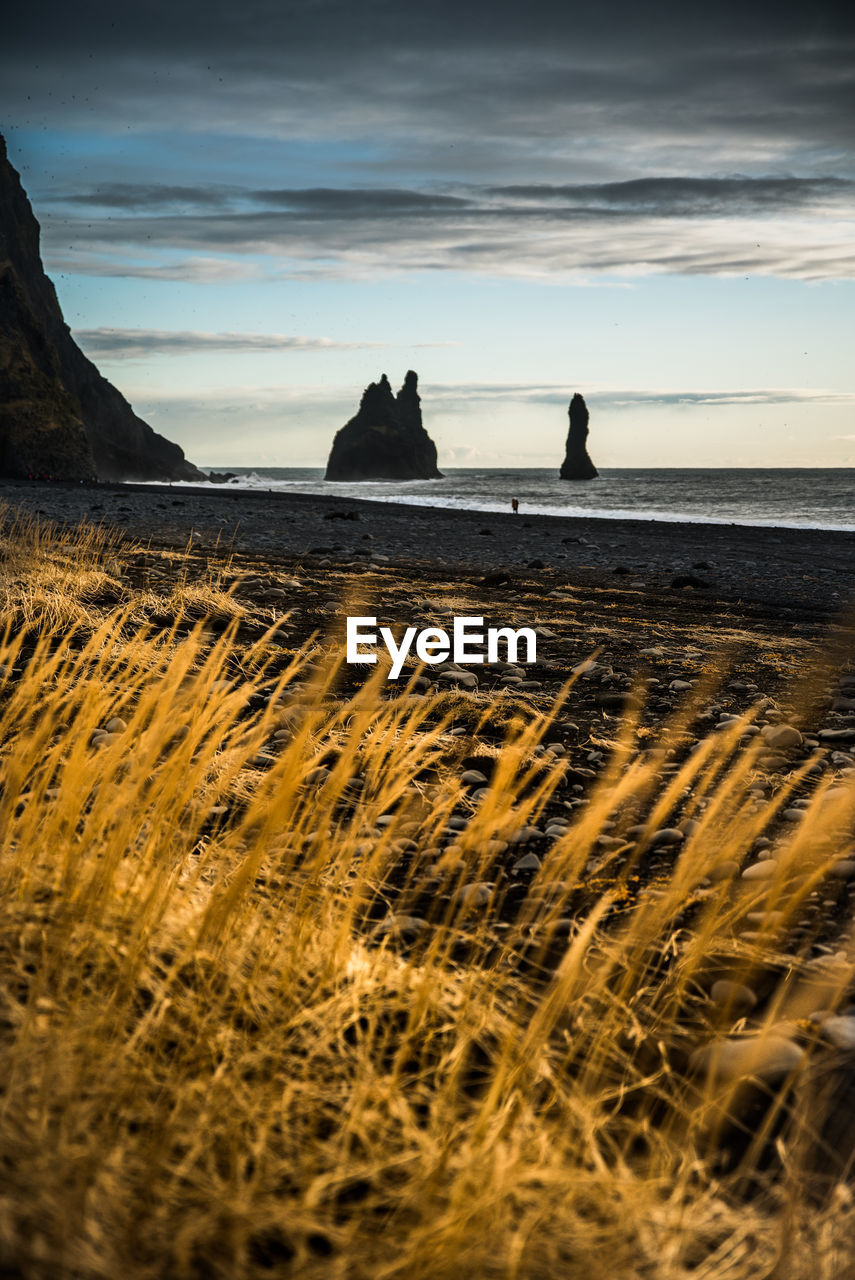 Scenic view of beach against sky during sunset