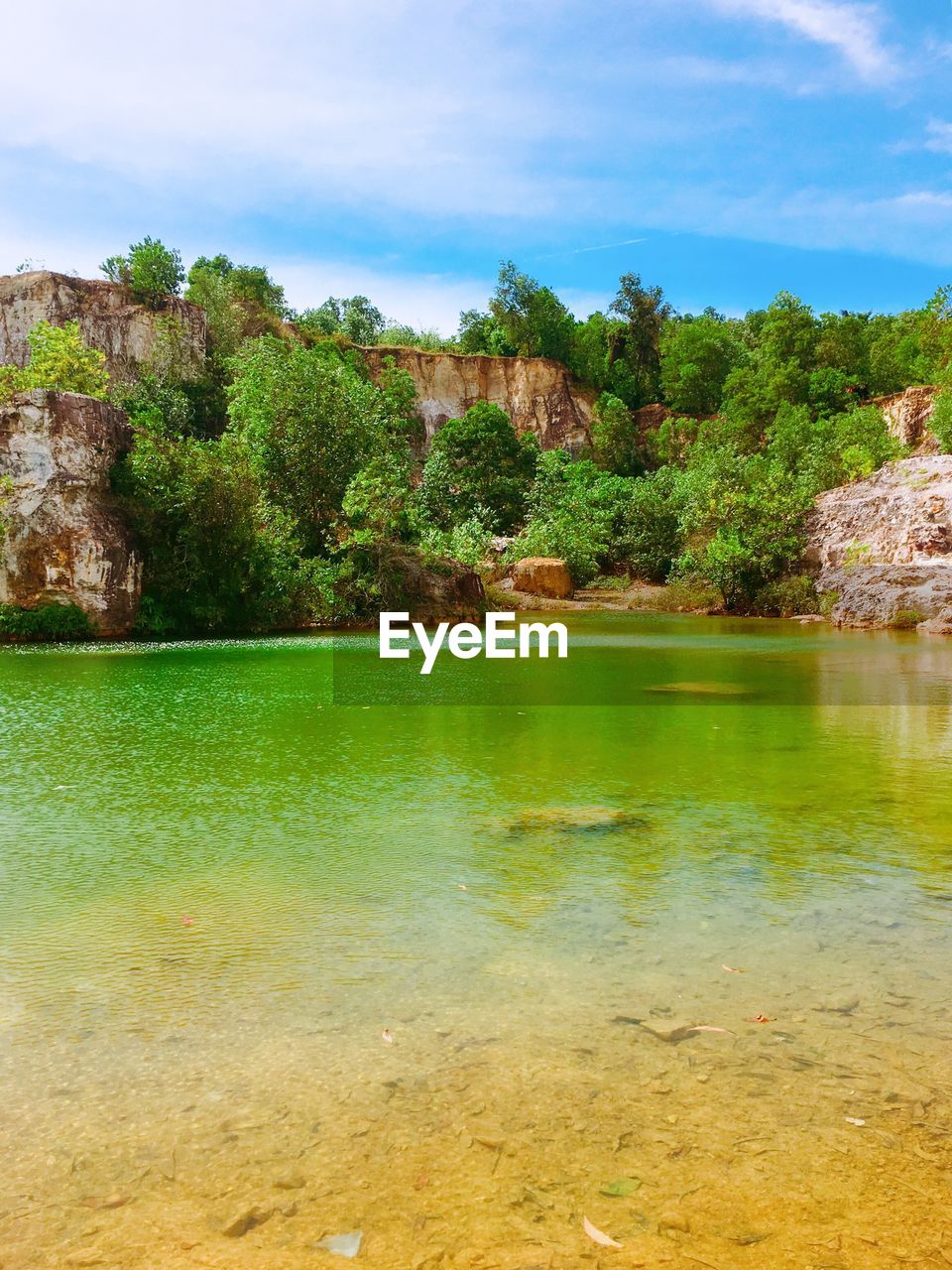 SCENIC VIEW OF LAKE AGAINST TREES