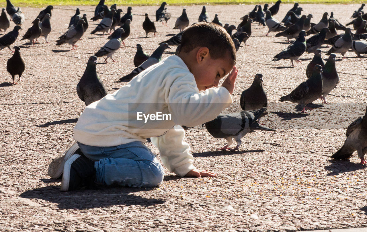 Full length of boy kneeling on street amid pigeons