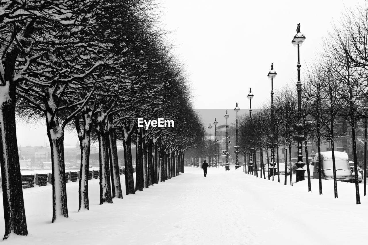 SNOW COVERED FOOTPATH AMIDST TREES