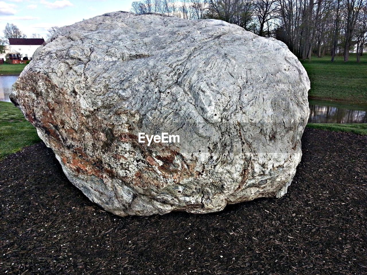 CLOSE-UP OF ROCKS ON TREE TRUNK