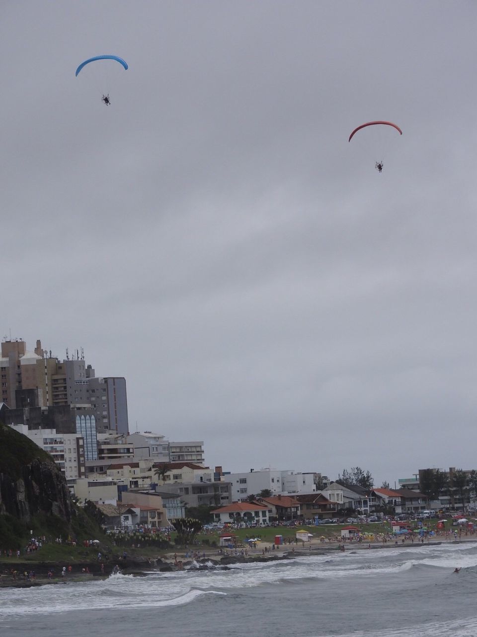 BIRDS FLYING OVER CITY