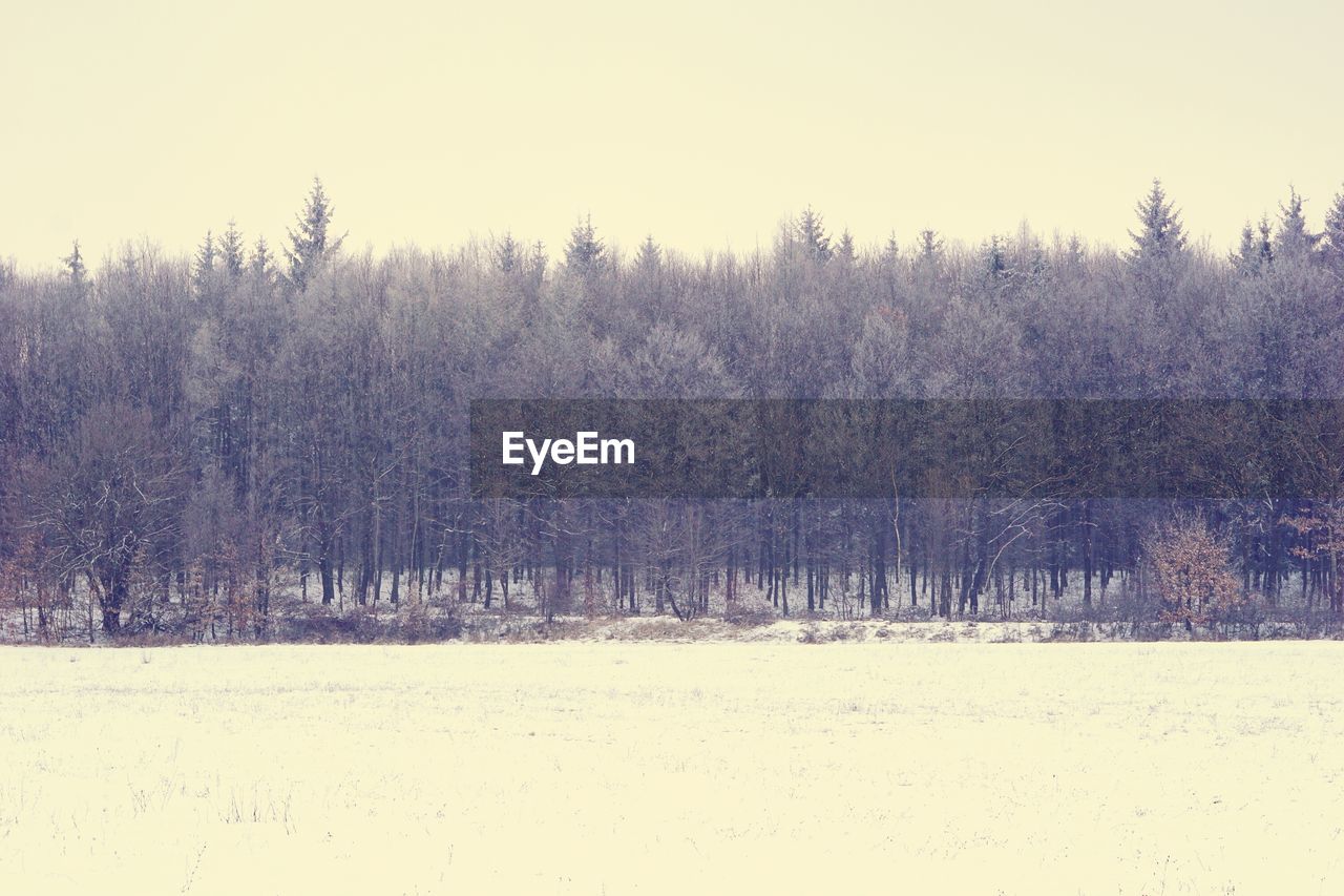 Scenic view of snow covered field against clear sky