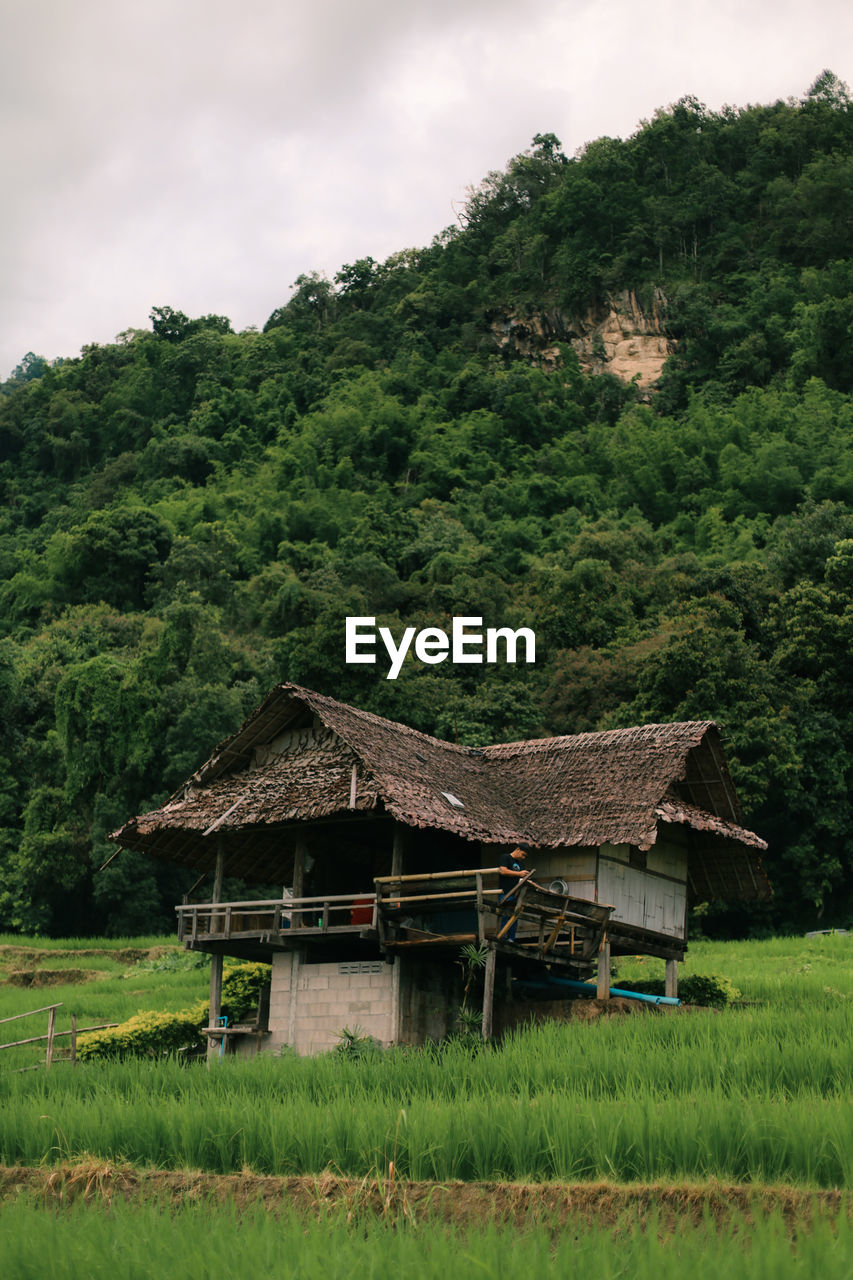 House on field against trees