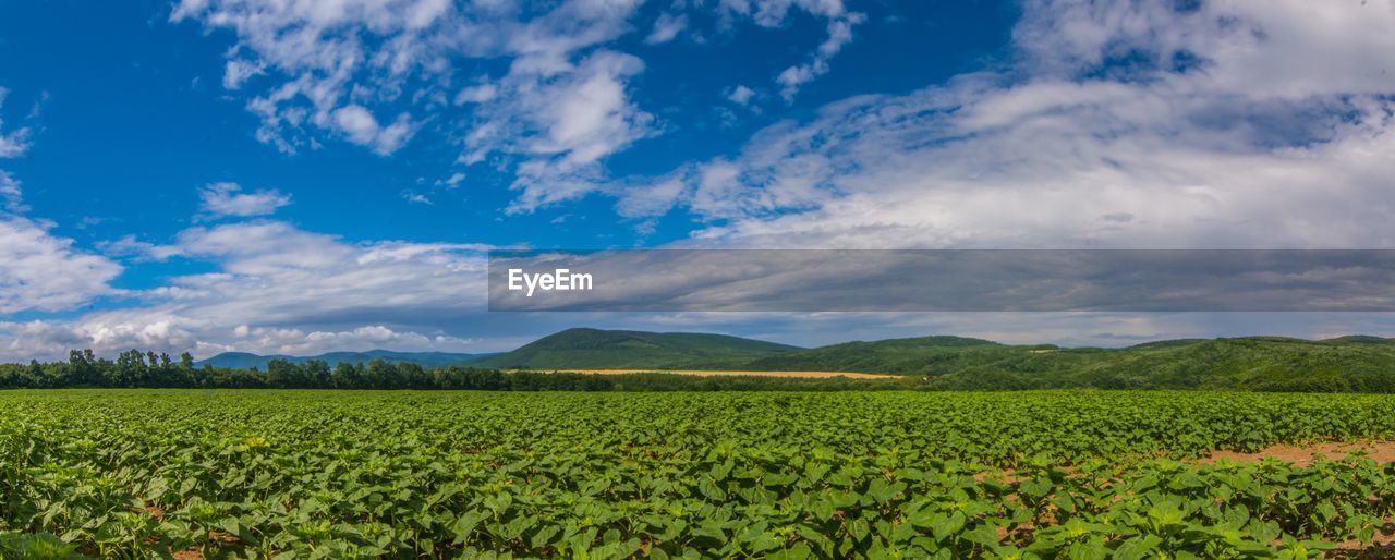 Scenic view of field against cloudy sky