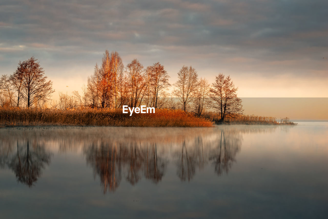 Reflection of trees in lake against sky during sunset