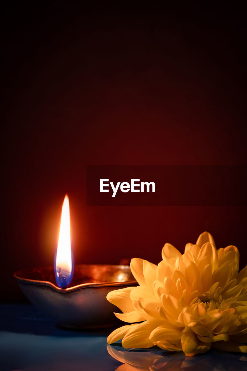 burning, fire, flame, candle, flower, nature, flowering plant, yellow, illuminated, beauty in nature, copy space, heat, indoors, still life photography, lighting, no people, studio shot, plant, celebration, freshness, petal, glowing, lighting equipment, close-up, event, dark, religion
