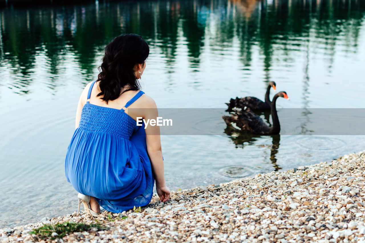 A girl in a blue dress looks at black swans