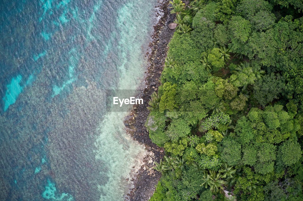 Drone field of view of sea and coastline with natural background seychelles.