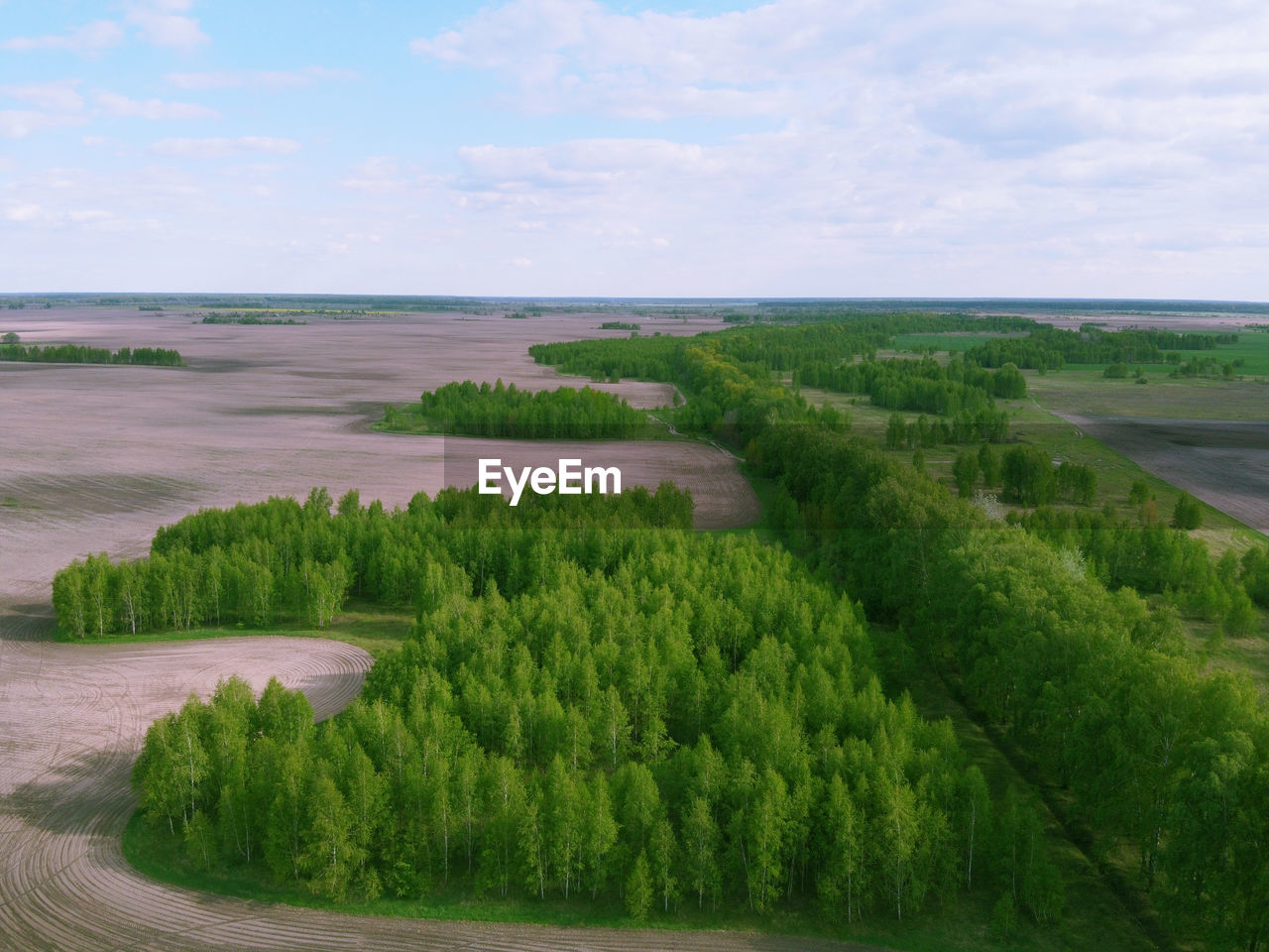 SCENIC VIEW OF TREES AND LANDSCAPE AGAINST SKY