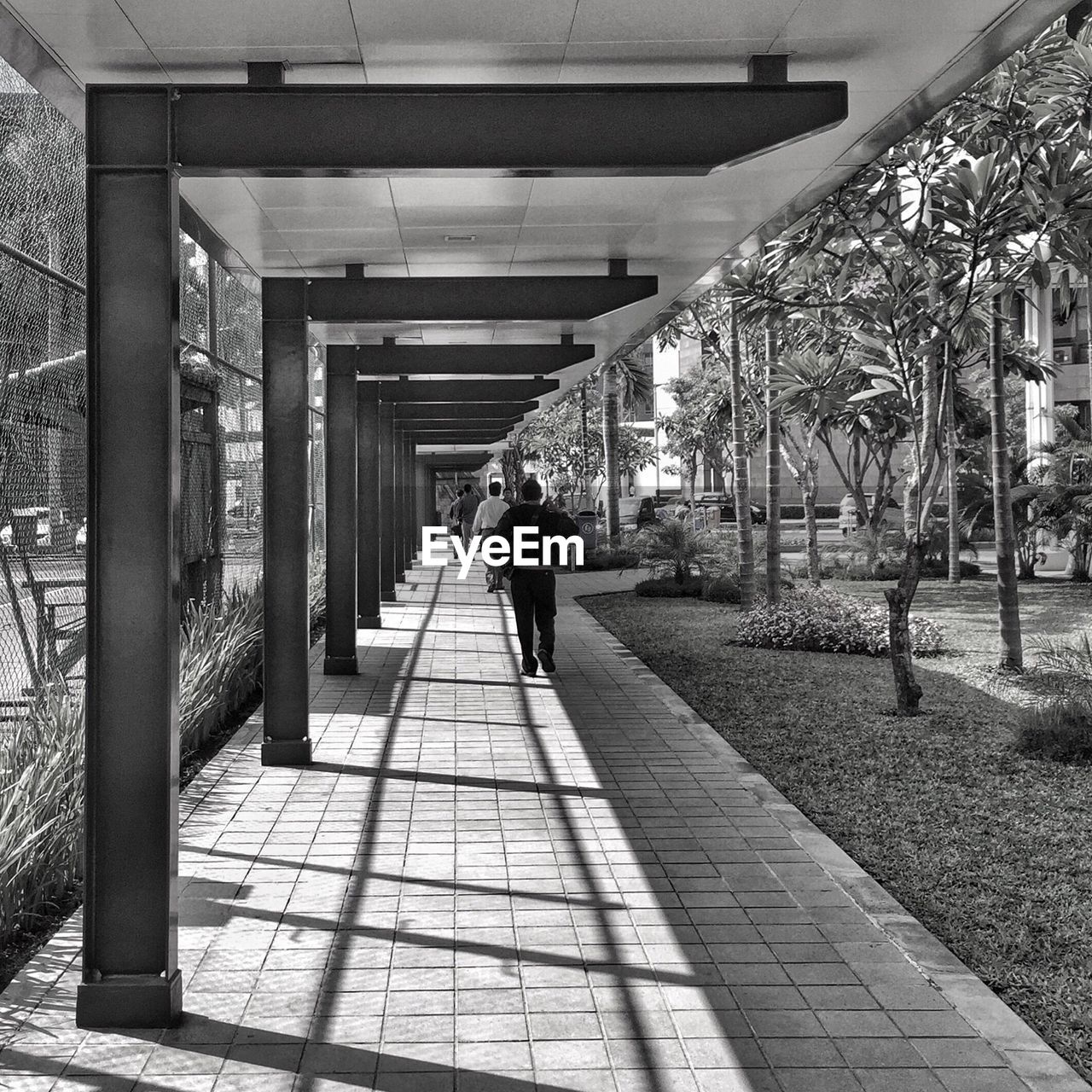 People walking on sidewalk in park