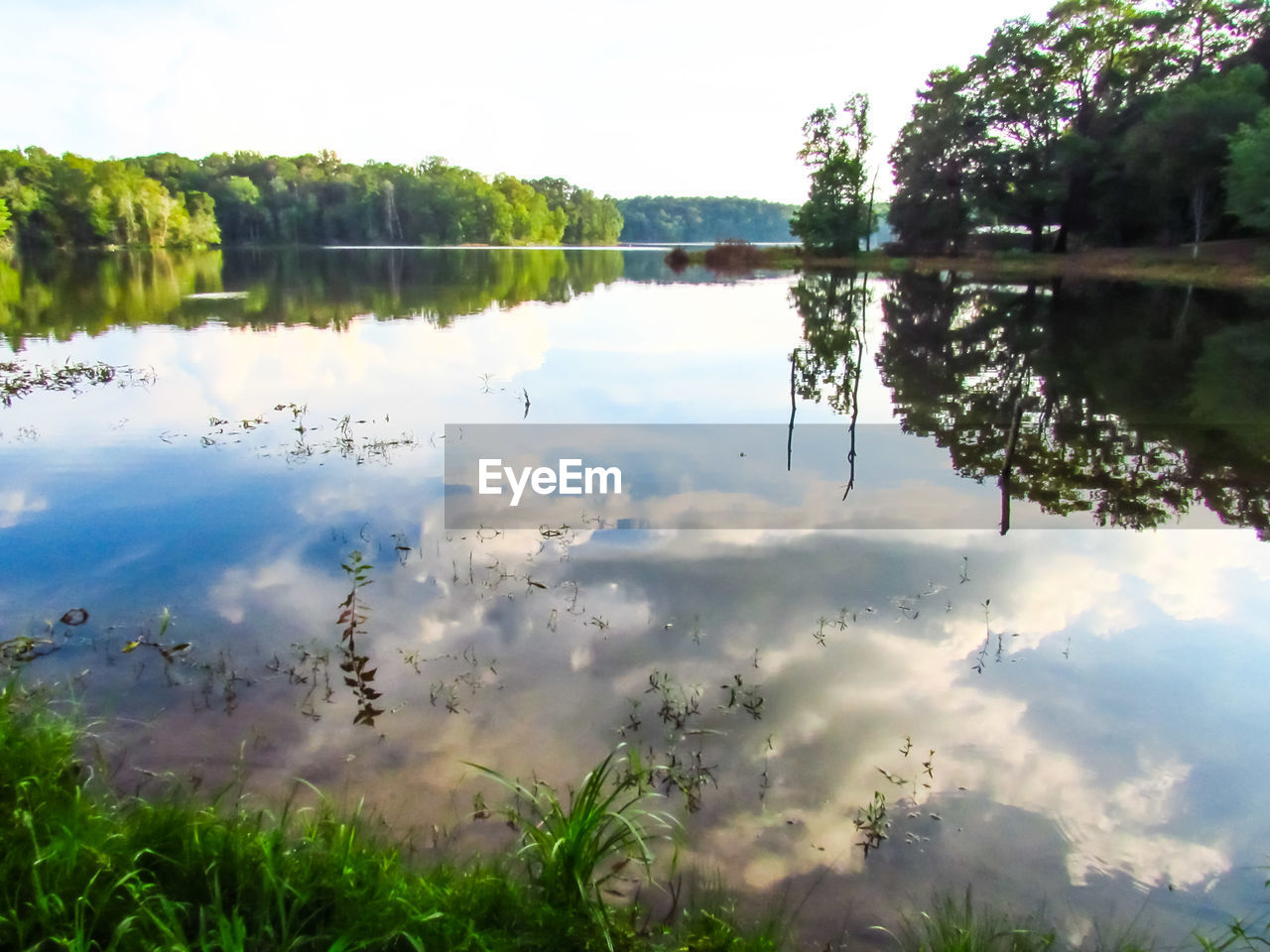 REFLECTION OF TREES IN LAKE