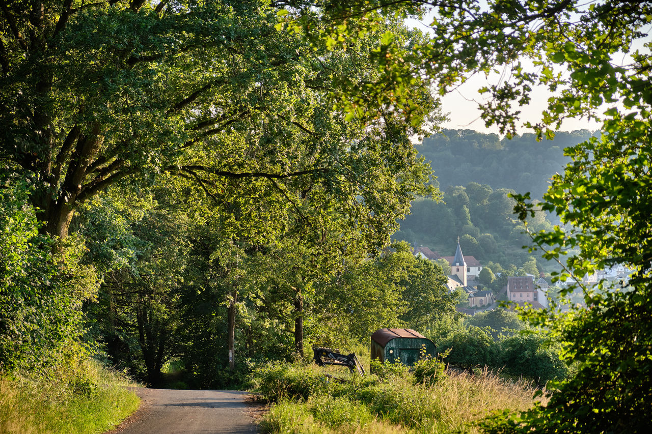 ROAD AMIDST TREES ON LANDSCAPE AGAINST MOUNTAIN