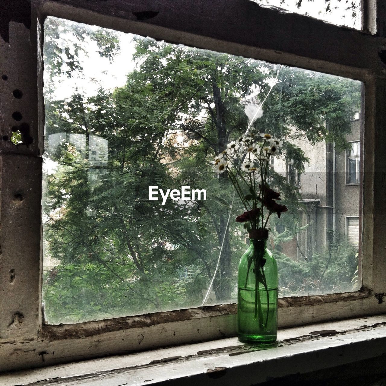 Flower vase on old window sill