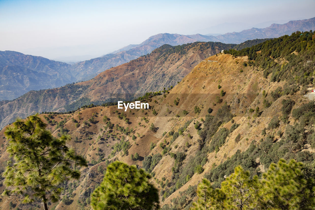 Mountains and valleys photography from chail shimla,himachal pradesh india