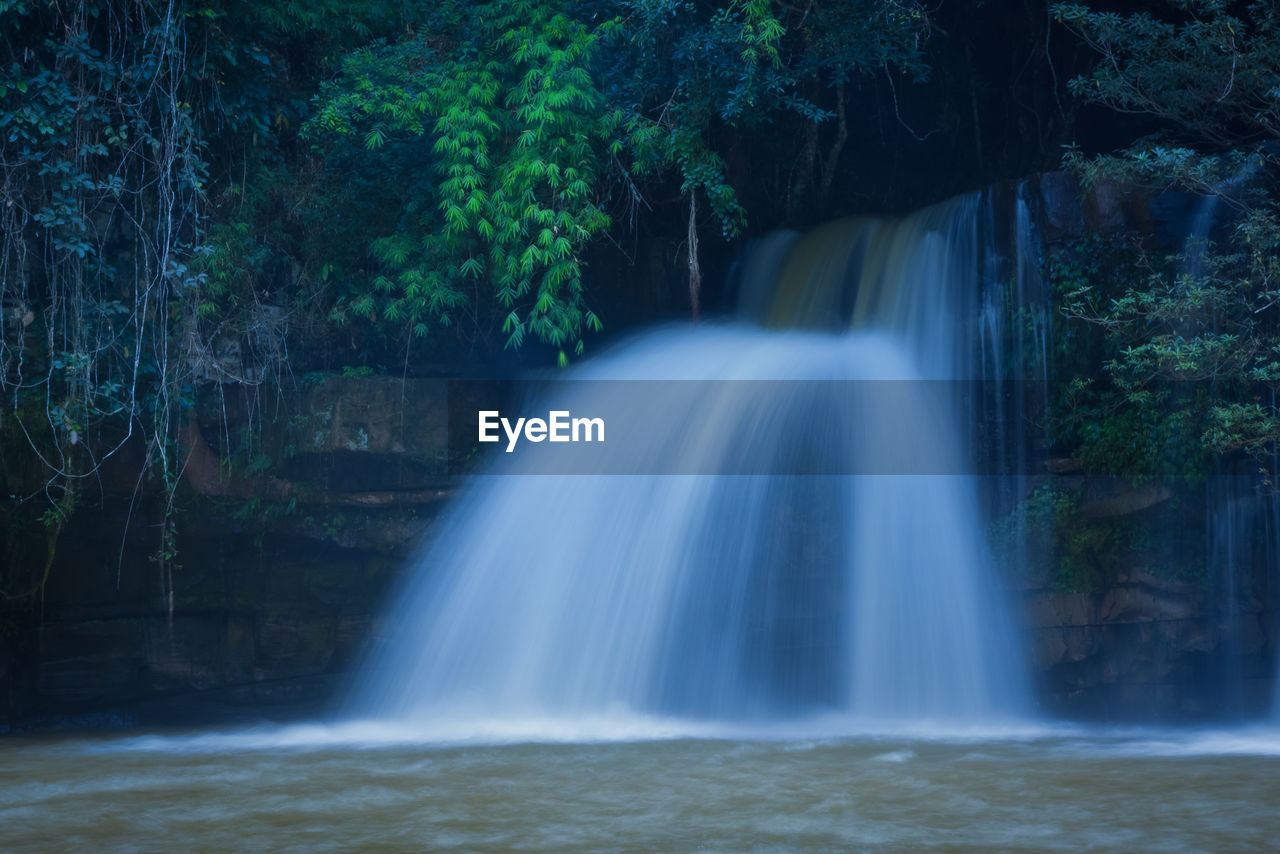 Scenic view of waterfall in forest