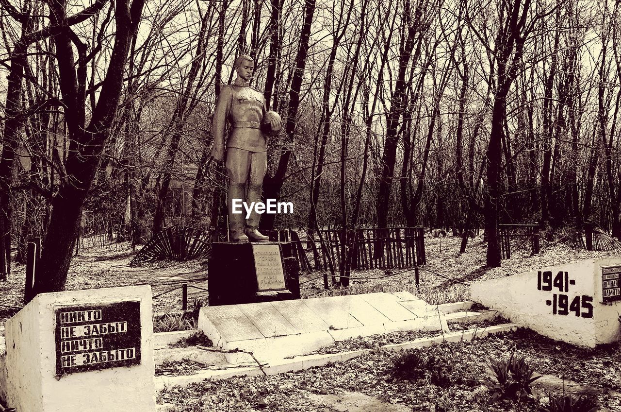 BARE TREES IN THE DARK