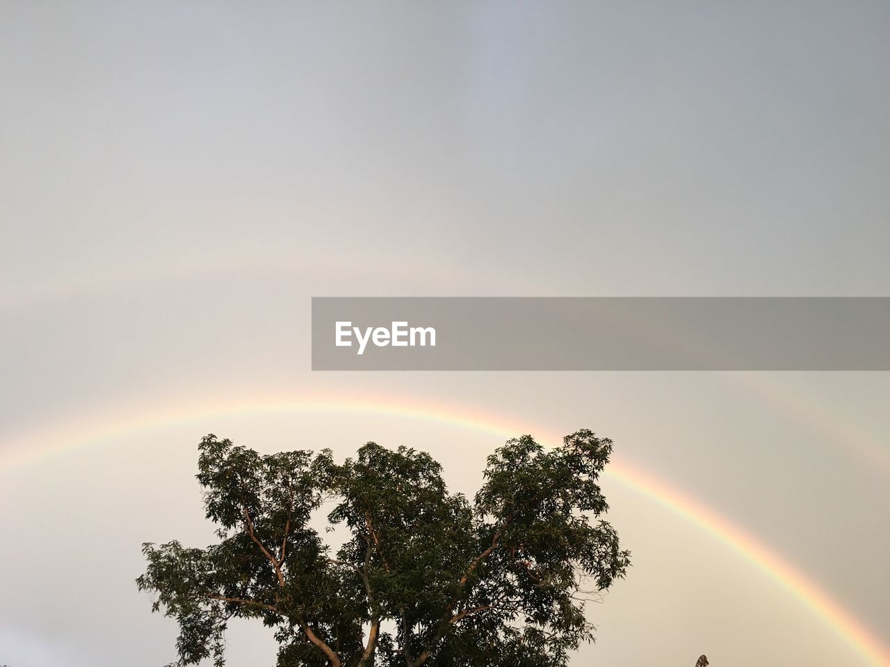 LOW ANGLE VIEW OF RAINBOW IN SKY