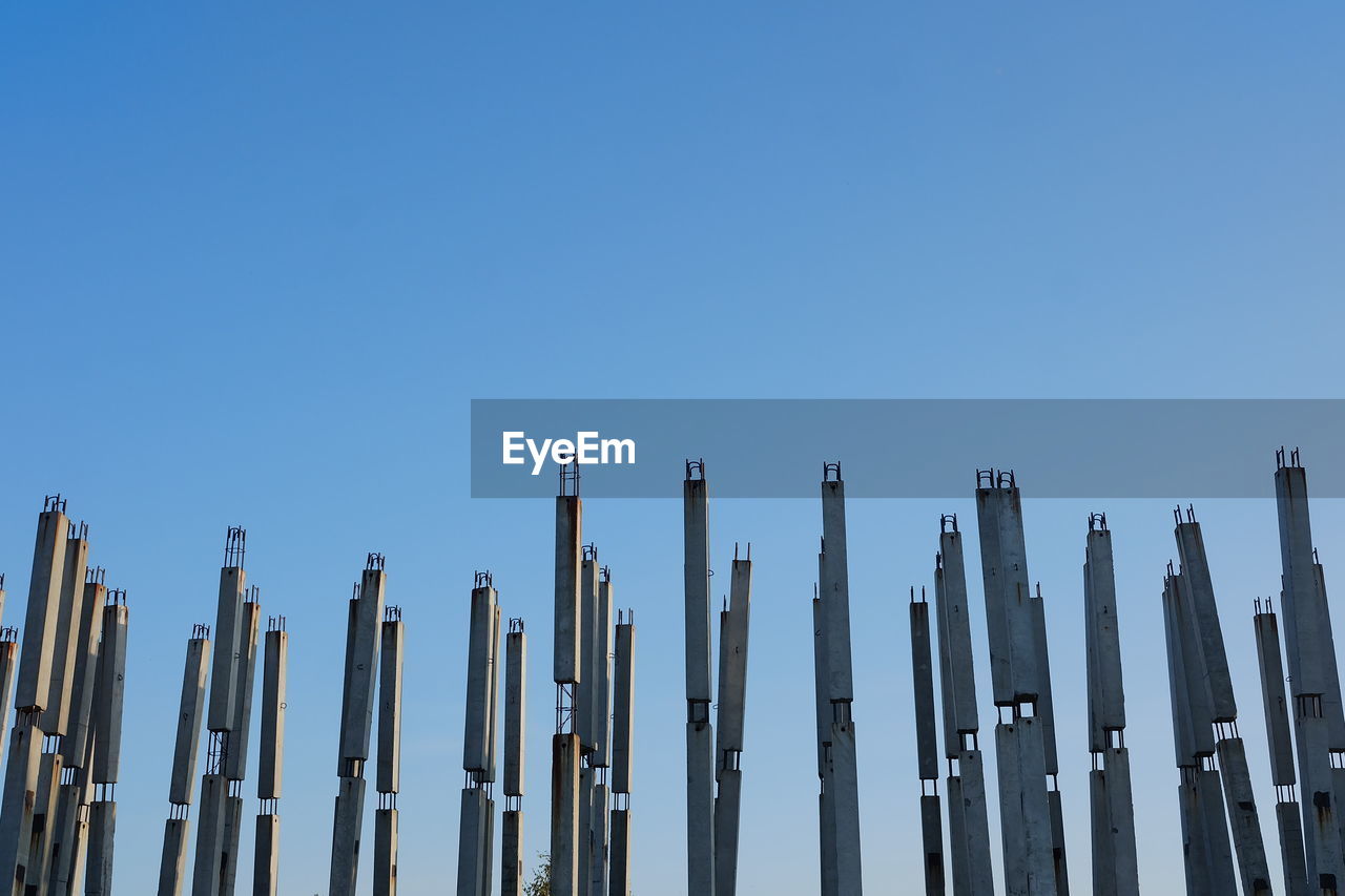 LOW ANGLE VIEW OF BAMBOO AGAINST CLEAR SKY