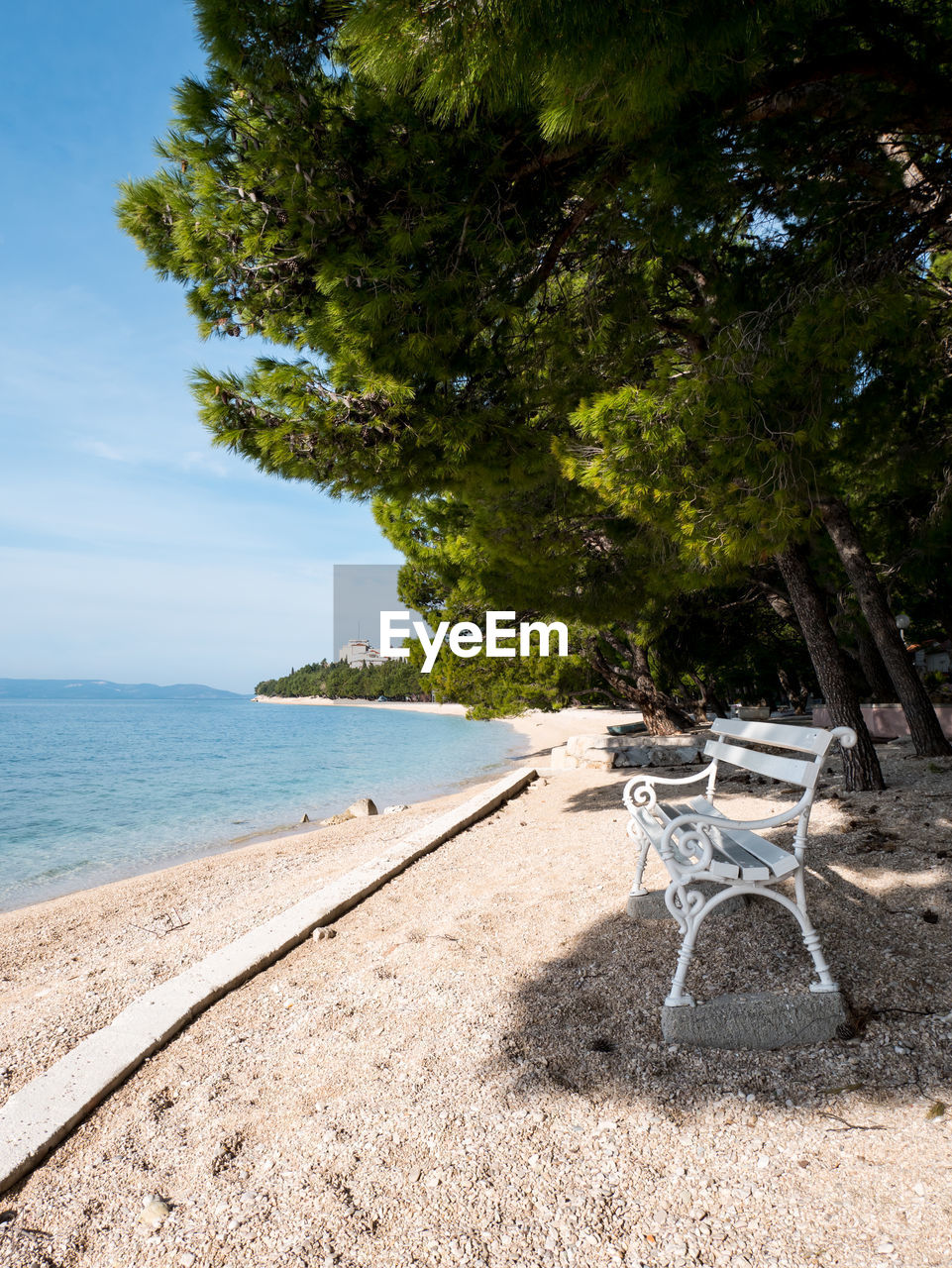 TREES ON BEACH AGAINST SKY