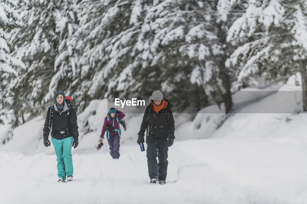 Group of three people walking in the snow toward camera manning park