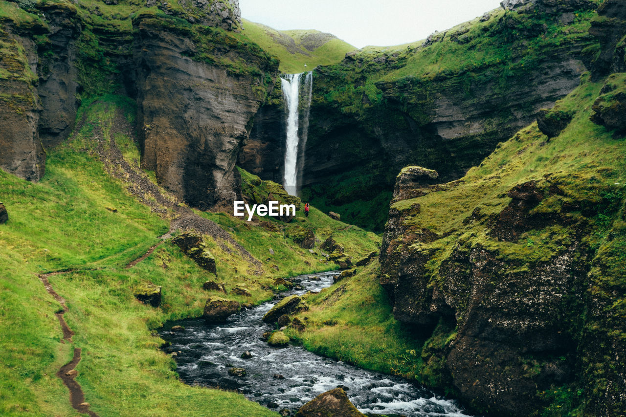 Scenic view of waterfall in forest